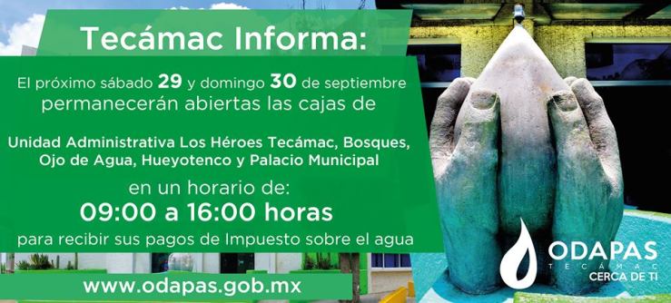 42680683_1872862279462592_4753316580807409664_n