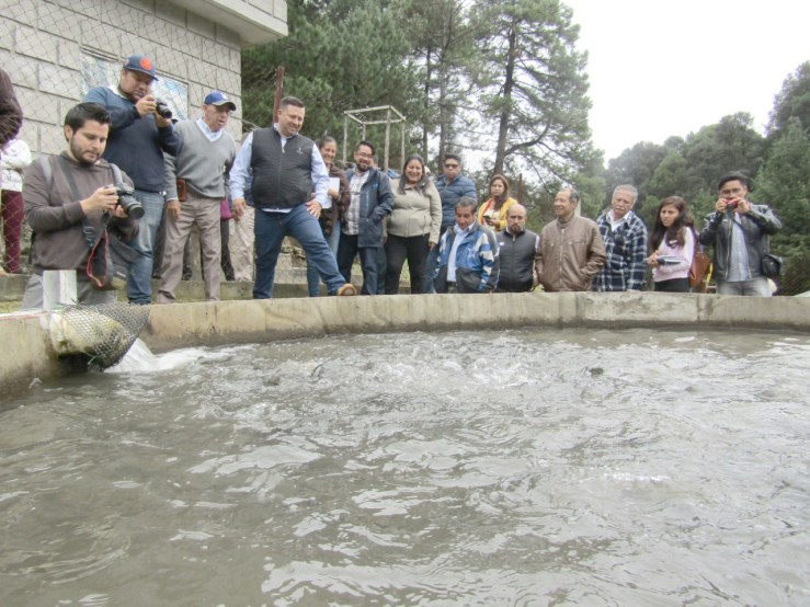 2 morena nico romero