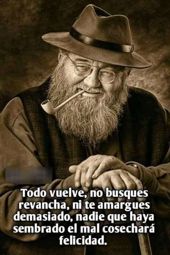 44162542_2022465061146729_6858448578503770112_n