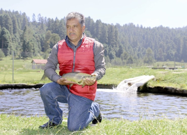 4cccc05d-40d4-4484-a37b-d69541ce0233