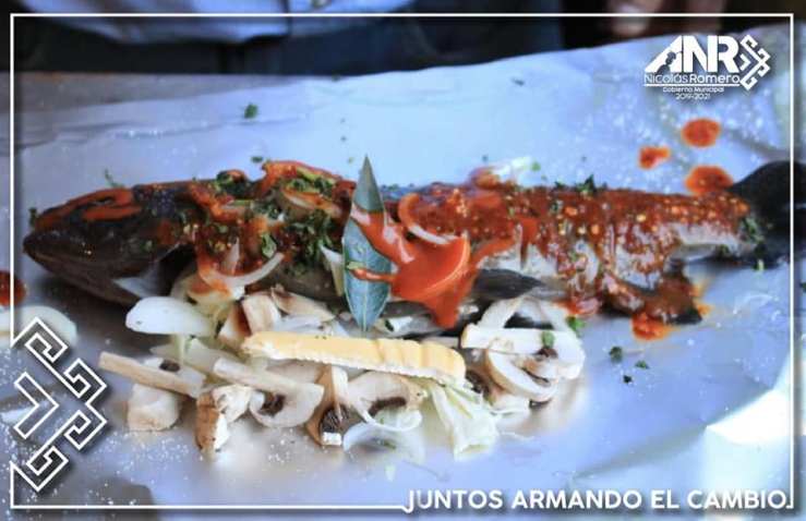 49342999_385311492036400_741984295060504576_n