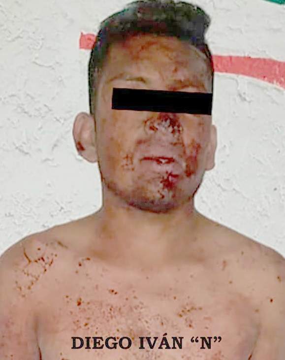 53224159_2267022696669330_9139485823710789632_n