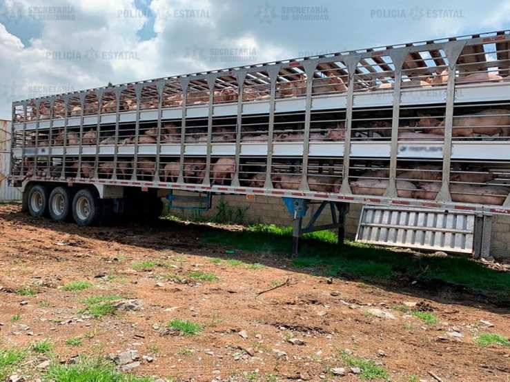 67663143_2513365612035036_6529179892917993472_n