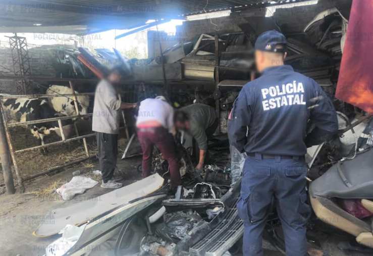 70608402_2619540421417554_3329582875493269504_n