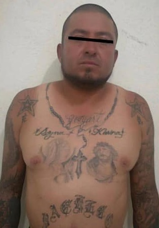 116674917_1480910922119309_7832276918444874081_n