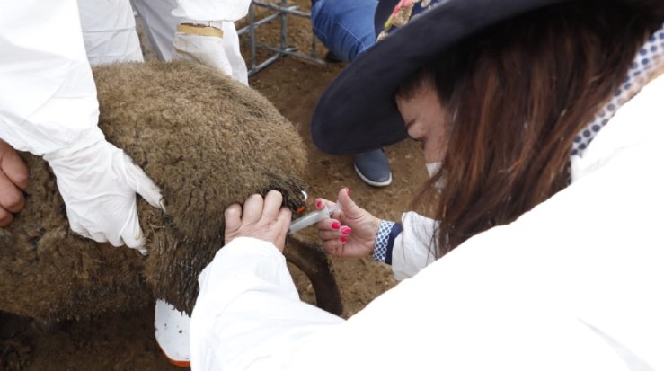 WhatsApp Image 2020-08-11 at 3.13.46 PM (2)